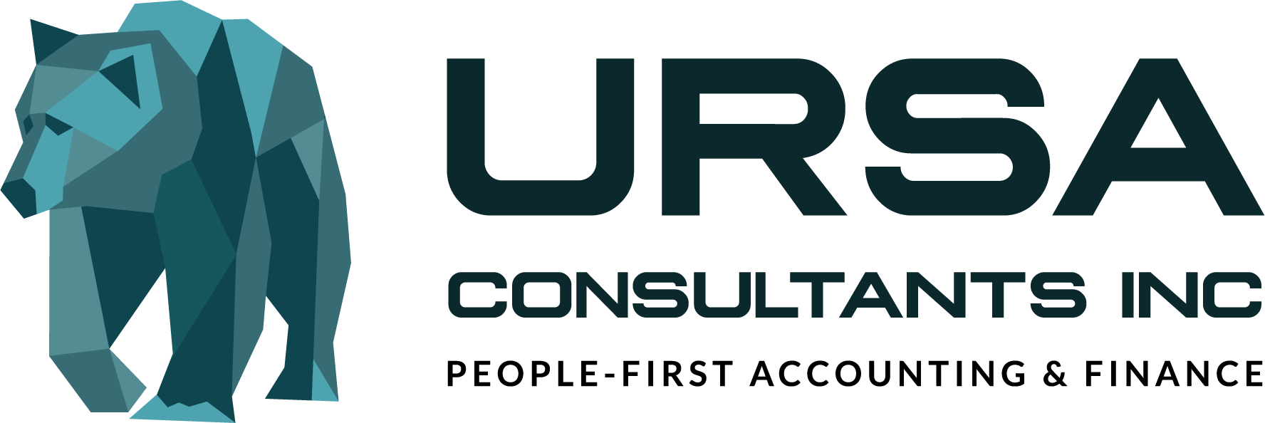 Ursa Consultants